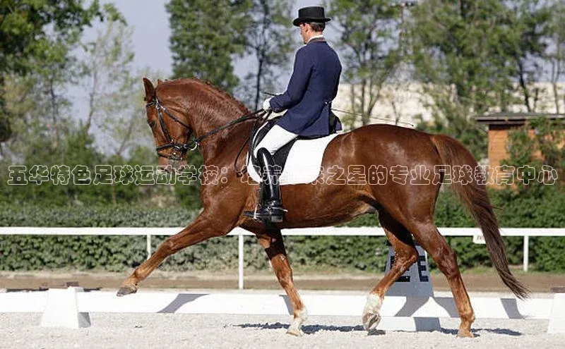 万向娱乐平台官网入口百度网盘五华特色足球运动学校：培养未来之星的专业足球教育中心