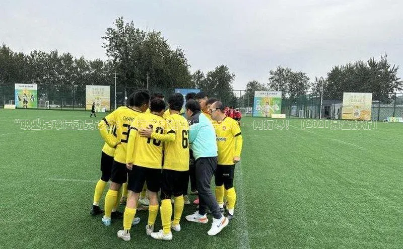 万向娱乐登录百度人工翻译“职业足球运动员详解：从薪资待遇到技术要求，一网打尽！【2021最全解析】”