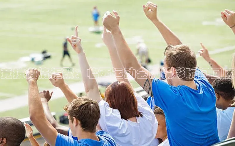 竞技激情汇聚：临西运动会的精彩瞬间回顾