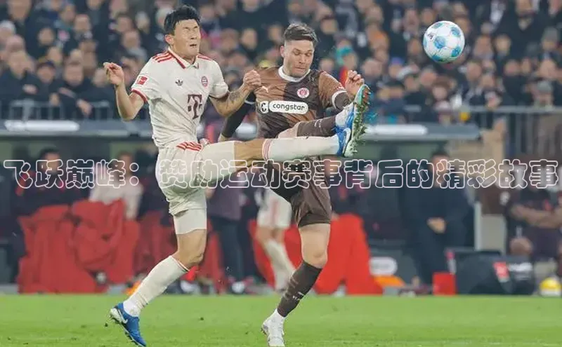 飞跃巅峰：赞助运动赛事背后的精彩故事