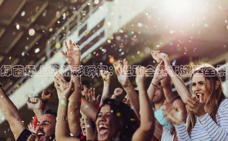 绿茵场上的精彩瞬间：运动会赛事进程全景