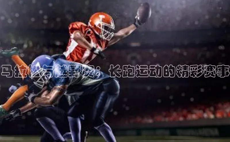 马拉松与越野赛：长跑运动的精彩赛事