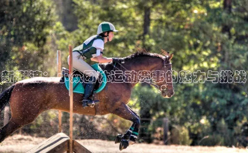 新潮流：小众团体运动赛事的魅力与挑战