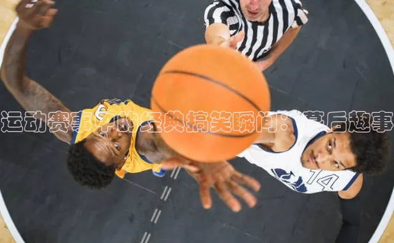 万向娱乐官网网页版登录入口