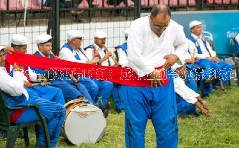 天府之国的激情时刻：成都运动会的精彩瞬间