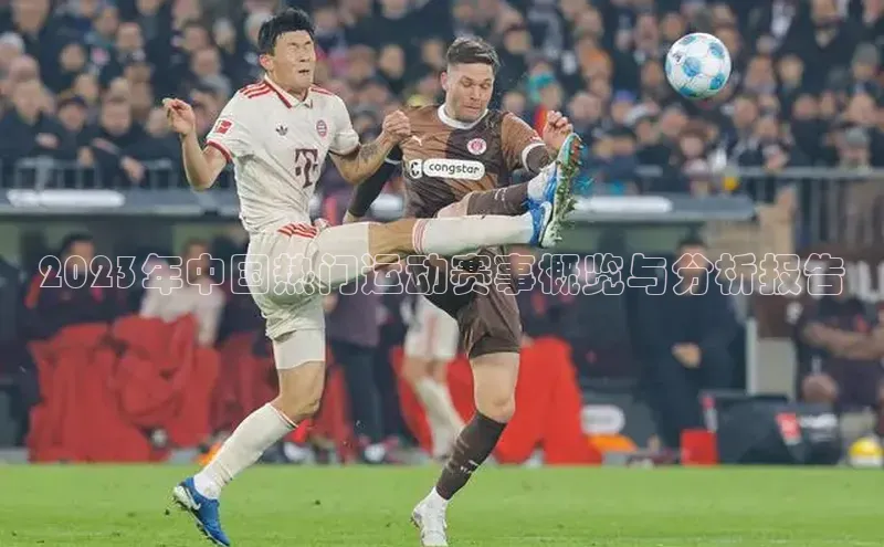 2023年中国热门运动赛事概览与分析报告