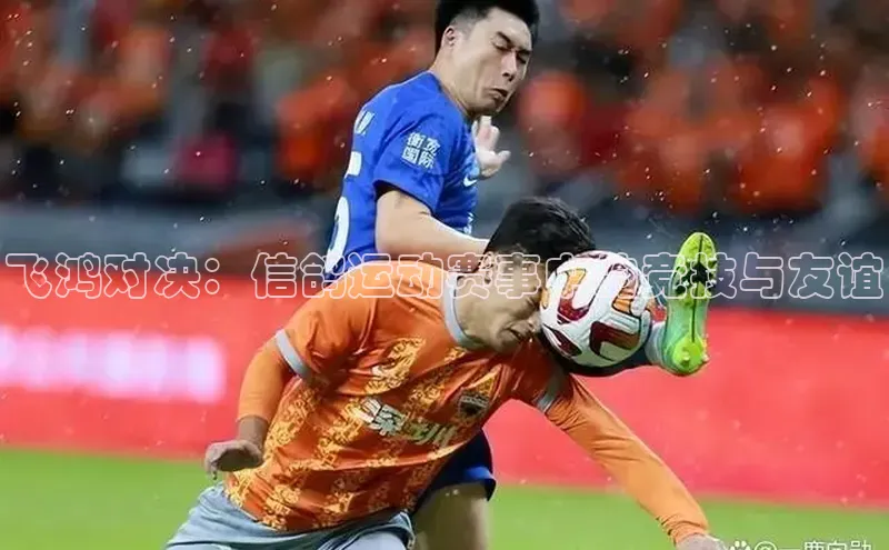 飞鸿对决：信鸽运动赛事中的竞技与友谊